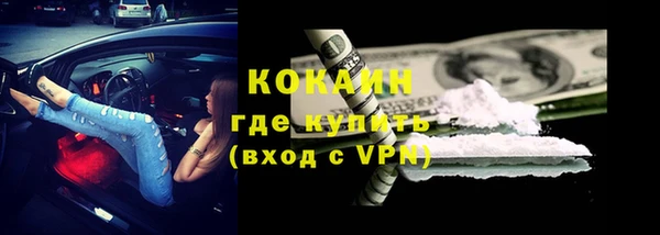 ешки Богданович