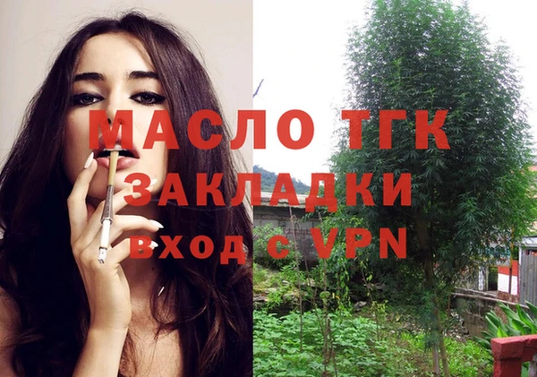 амф Богородск