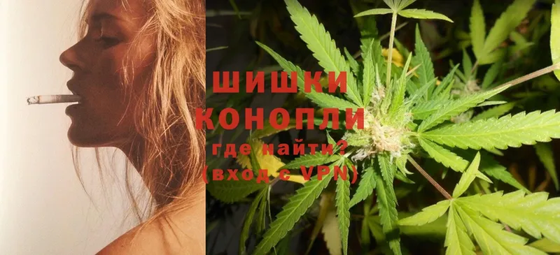 Бошки марихуана семена  где можно купить наркотик  Вуктыл 